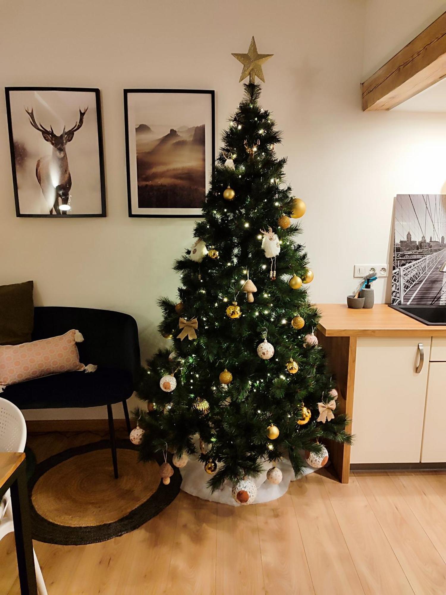 Le Chaleureux Loft 1 Minute Du Tram Apartment *